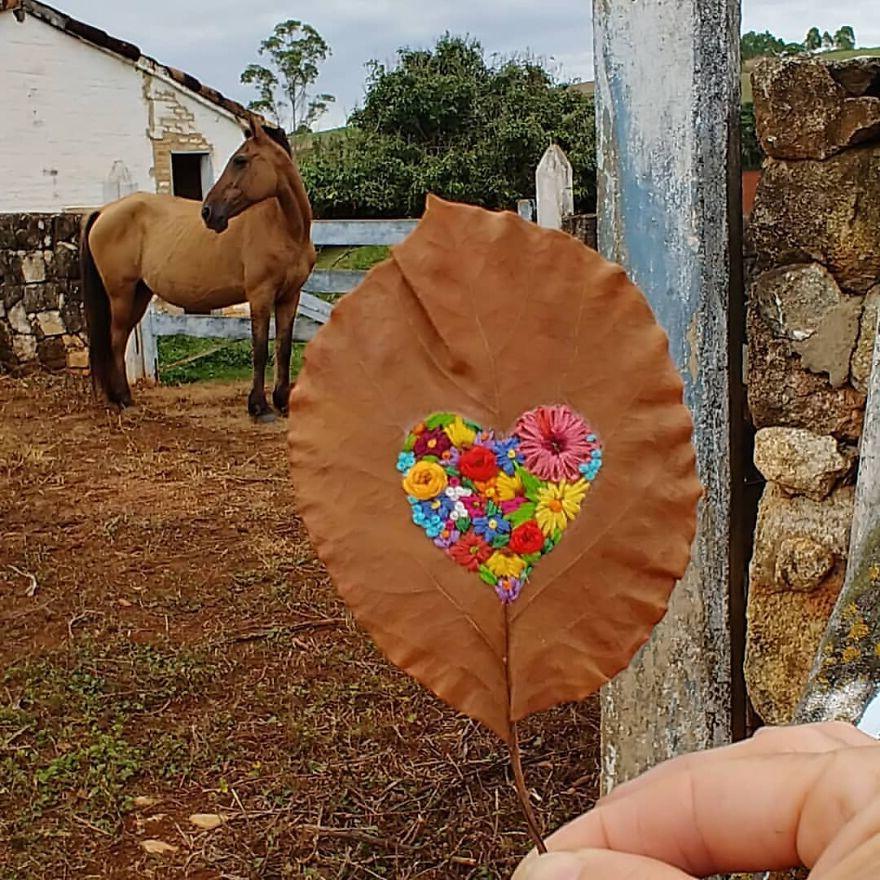 Художница из Бразилии Соланж Нуньес вышивает на высушенных осенних листьях: фото работ