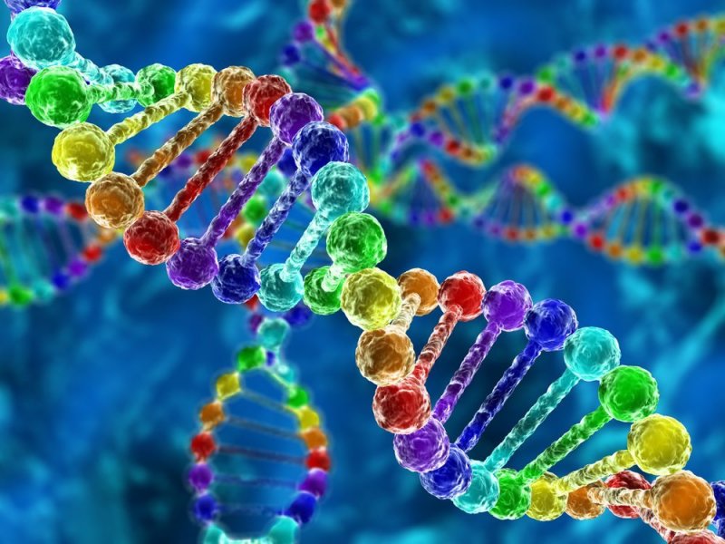 С момента начала проекта "Геном человека" прошло 30 лет. Американский ученый рассказал о будущем генетики