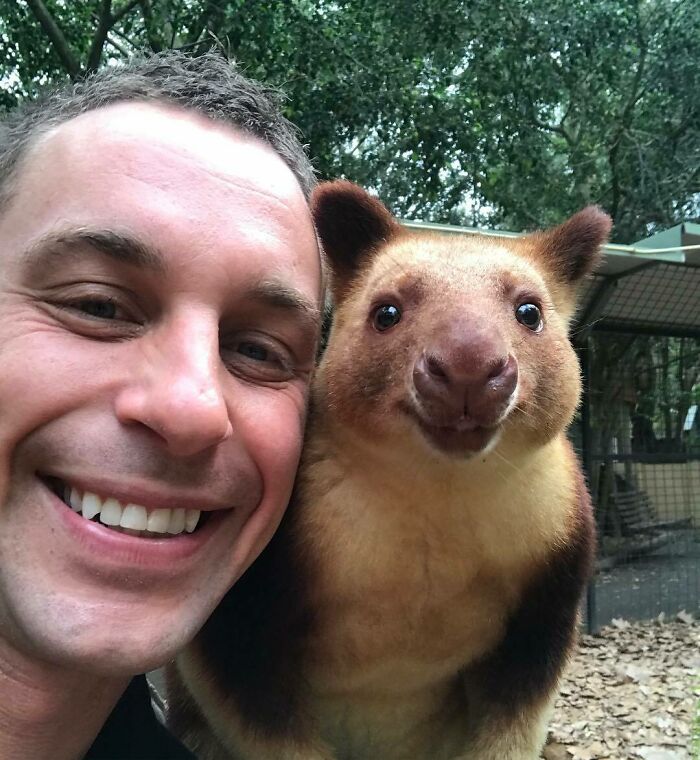 Обнимашки с тигром и селфи с вомбатом: австралиец, который управляет целым парком дикой природы, поделился "закулисьем" своей работы