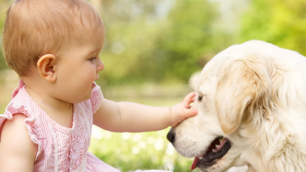 Как привить малышам любовь к животным: интересные методы
