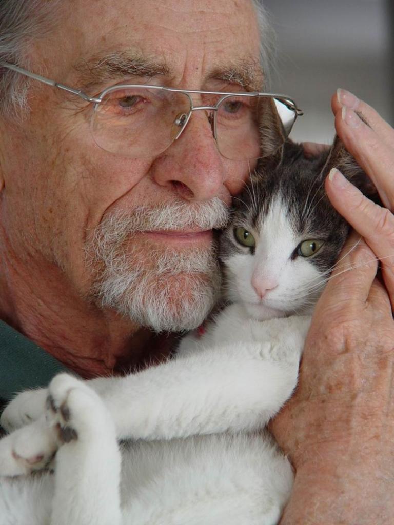 Почему пожилым людям стоит завести кота: и дело не только в пользе для здоровья