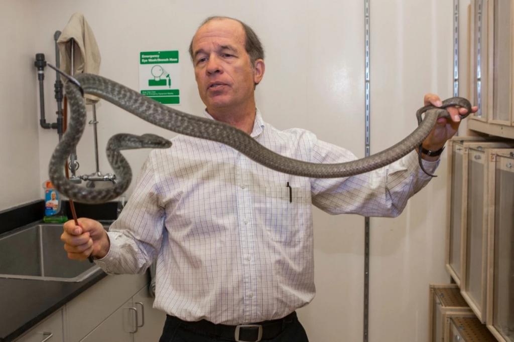 Ученые обнаружили новый способ передвижения змей - "лассо"