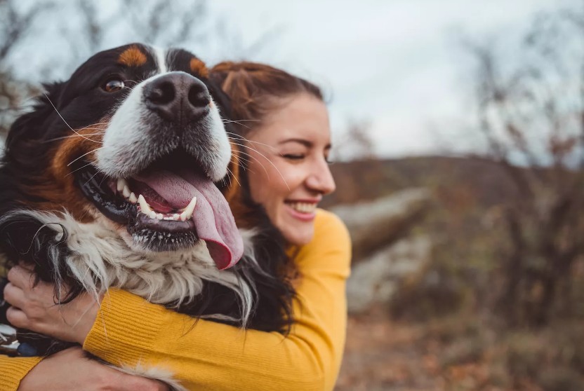 Действия говорят о многом: как стать более близкими со своей собакой
