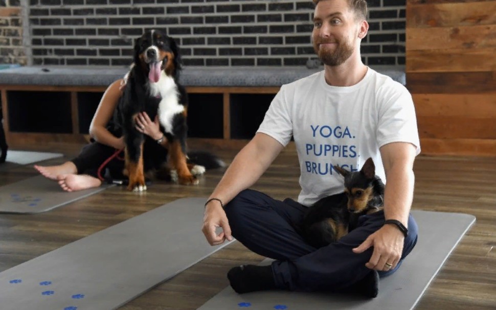 Савсана, чатаранга и другие позы дога-йоги - отличного способа сблизиться со своей собакой