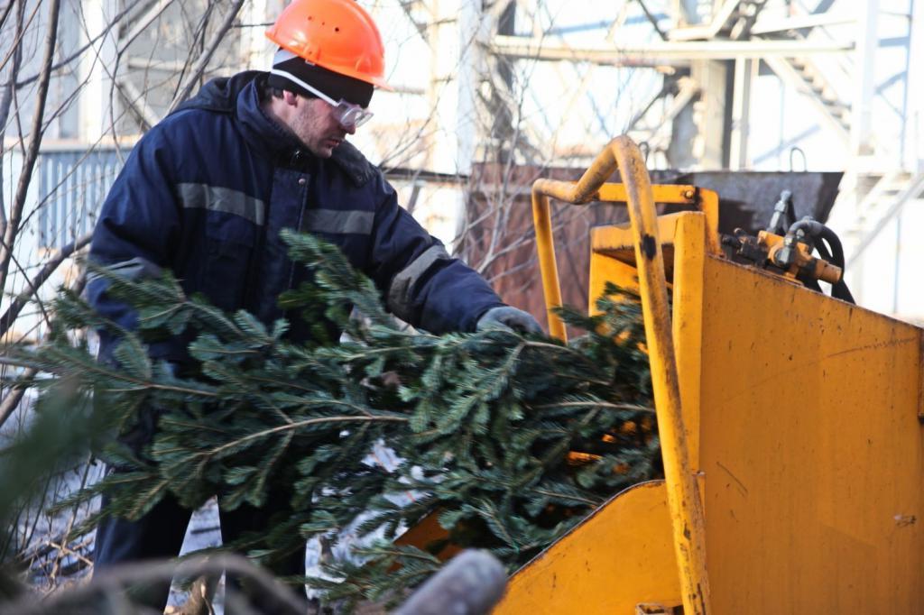 Снимайте украшения: сдать новогодние елки на утилизацию можно будет в 200 пунктах Подмосковья