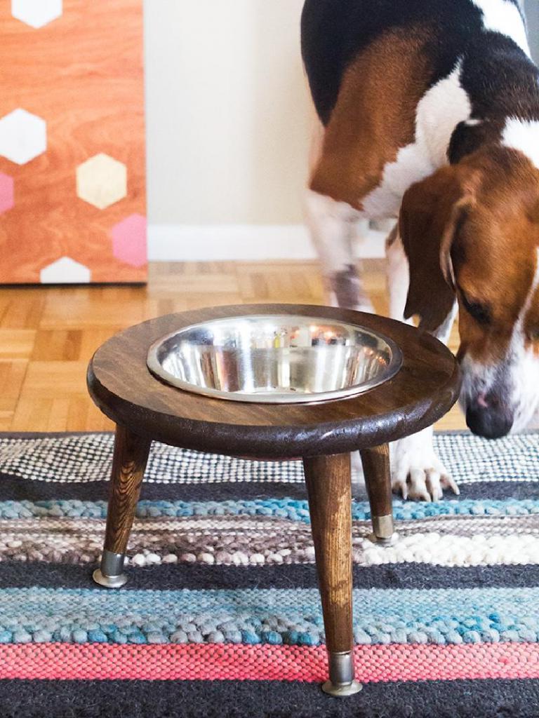Корм по дому больше не разбрасывает: смастерила для собачьей миски специальный стульчик-подставку, который украшает интерьер и помогает поддерживать чистоту