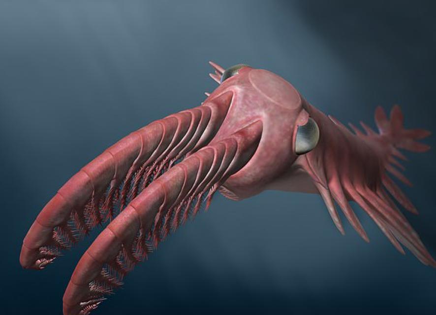 Причудливый морской зверь с круглой пастью, живший 500 млн лет назад, имел способность к ночному видению, что делало его злобным хищником