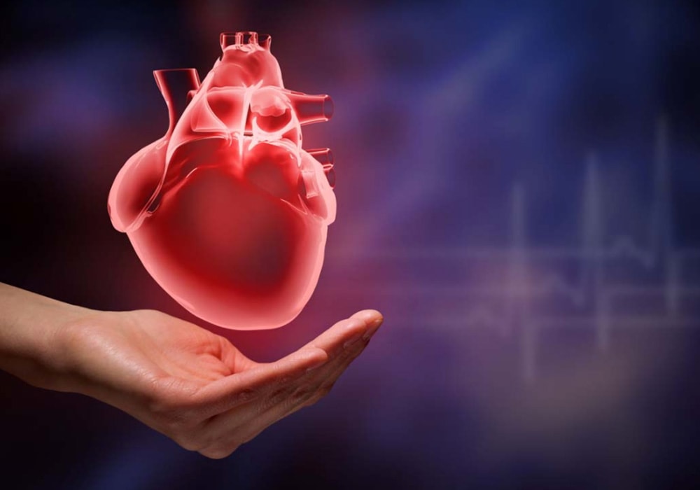 У физически активных людей риск развития проблем с сердцем уменьшается на 46%