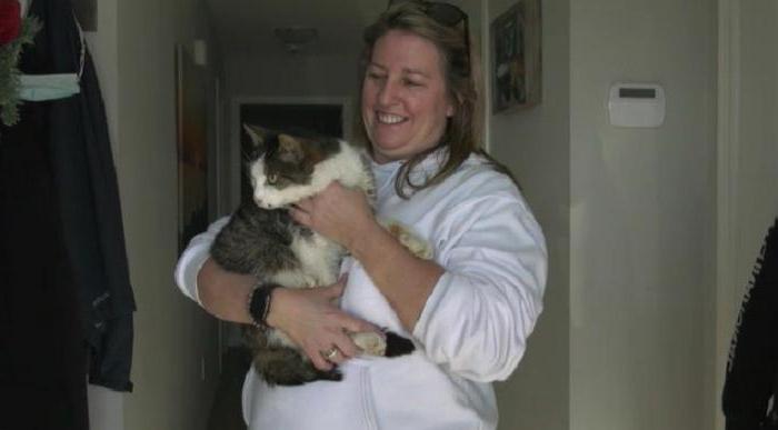 Чудесное возвращение: кошка Каддли воссоединилась с семьей спустя 10 лет