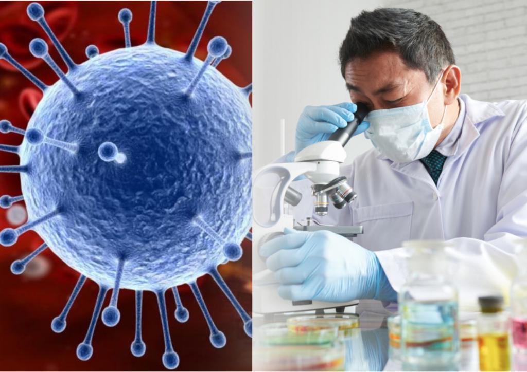 Ученые из университета Огайо в США обнаружили два новых штамма коронавируса: один из них похож на "британский", второй оказался более заразным