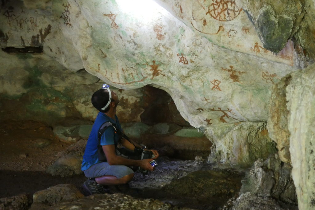 Самый старый в мире наскальный рисунок животных обнаружен в индонезийской пещере