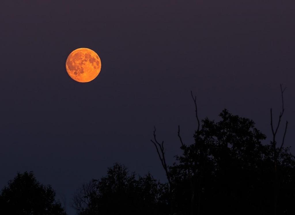 Красная Луна и метеорный дождь: 10 небесных событий, на которые стоит посмотреть в 2021 году