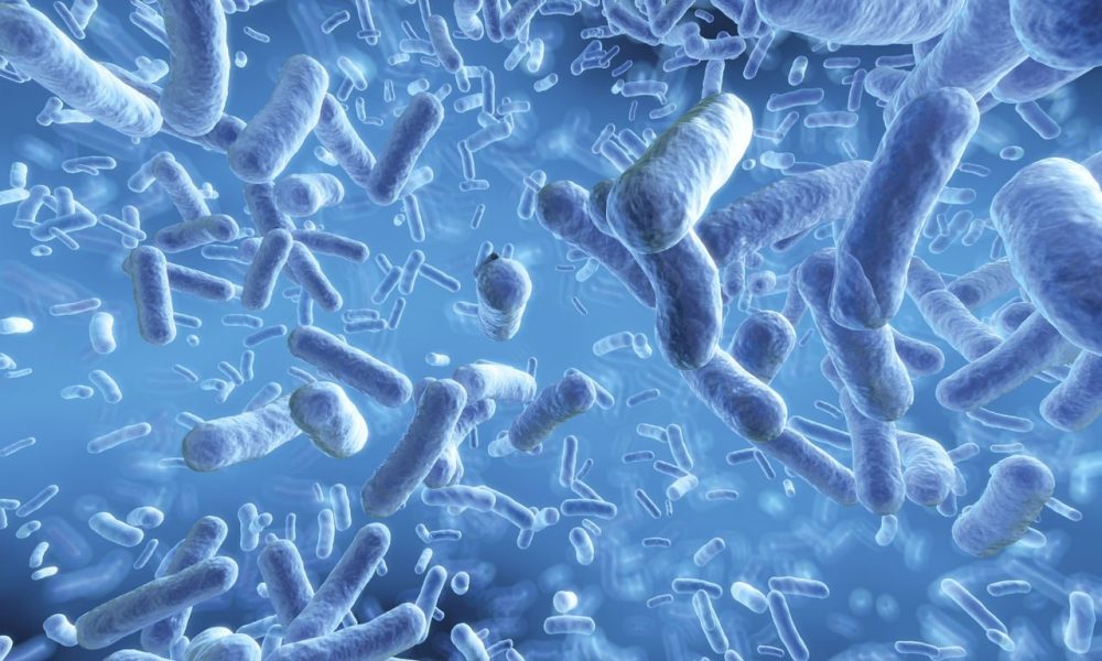 Ученые выяснили, что кишечный микробиом влияет на прочность костей