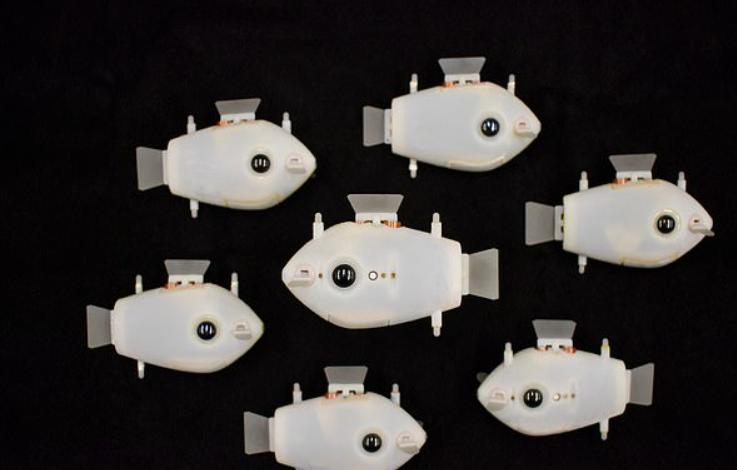 Созданы роботизированные рыбы, координирующие движения под водой без дополнительного воздействия