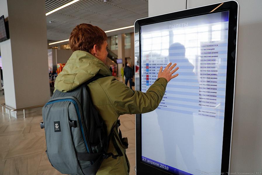 Несмотря на коронавирус: число рейсов между Россией и Египтом увеличат до пяти в неделю