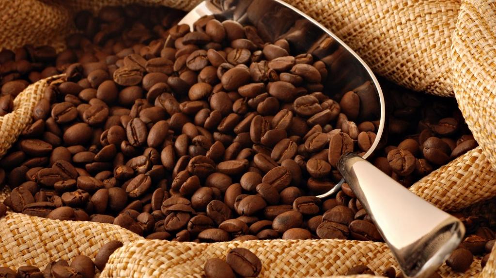 Робуста или арабика? Ученые разработали уникальный способ определения качества кофе