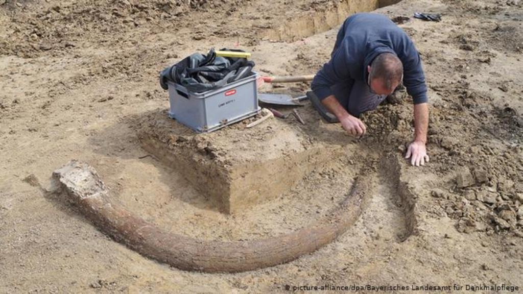 Археологи нашли подземное "сокровище" и тут же его закопали по одной-единственной причине