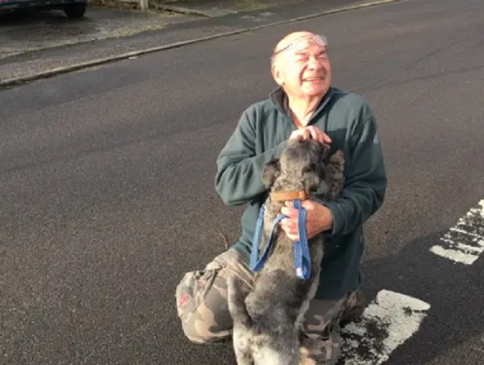 Джону Ховарту уже 74 года, последние 13 лет он помогает пожилым людям выгуливать собак