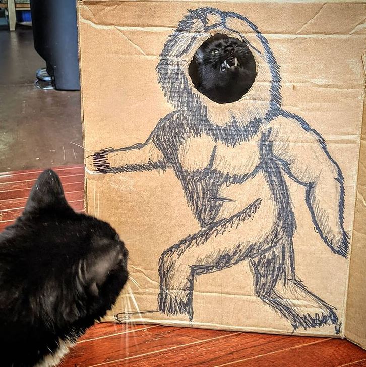 Гусеница и танцовщица: хозяин "рисует" своего кота в разных образах