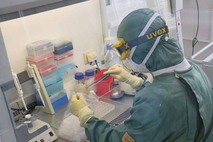 В немецкой больнице произошла вспышка неизвестной мутации коронавируса