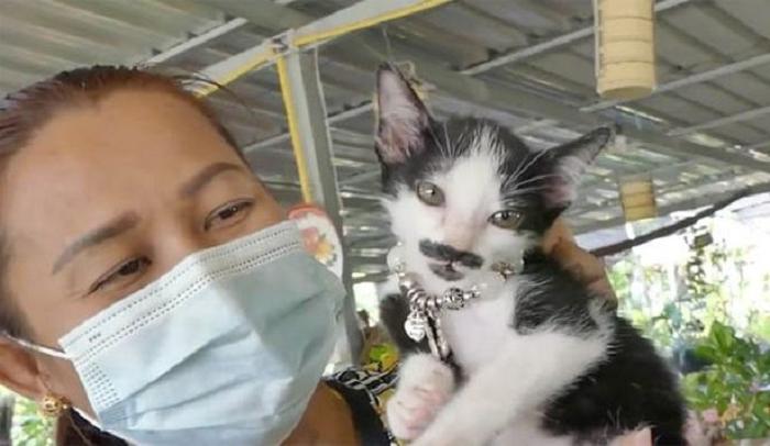 Уличный котенок завоевал популярность в Сети благодаря необычному окрасу: у него есть «усы и борода»