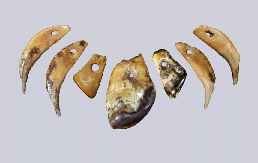 Ученые выясняют, почему наши предки были одержимы лосями: археологические находки на севере России