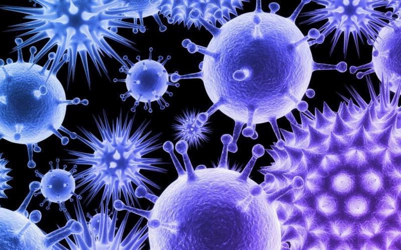 Информация от ВОЗ: британский штамм коронавируса подтвержден уже в 60 странах мира
