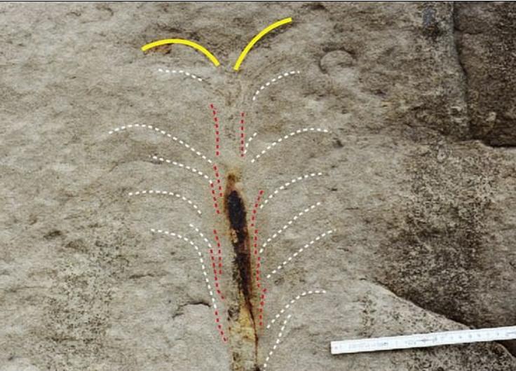 Доисторический червь с мощными челюстями жил на морском дне 20 млн лет назад: палеонтологи нашли его следы у берегов Тайваня