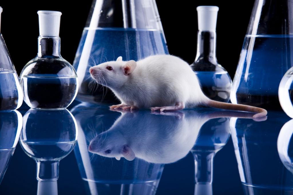 Между любовью и ненавистью в мозге мыши ученые обнаружили тонкую грань