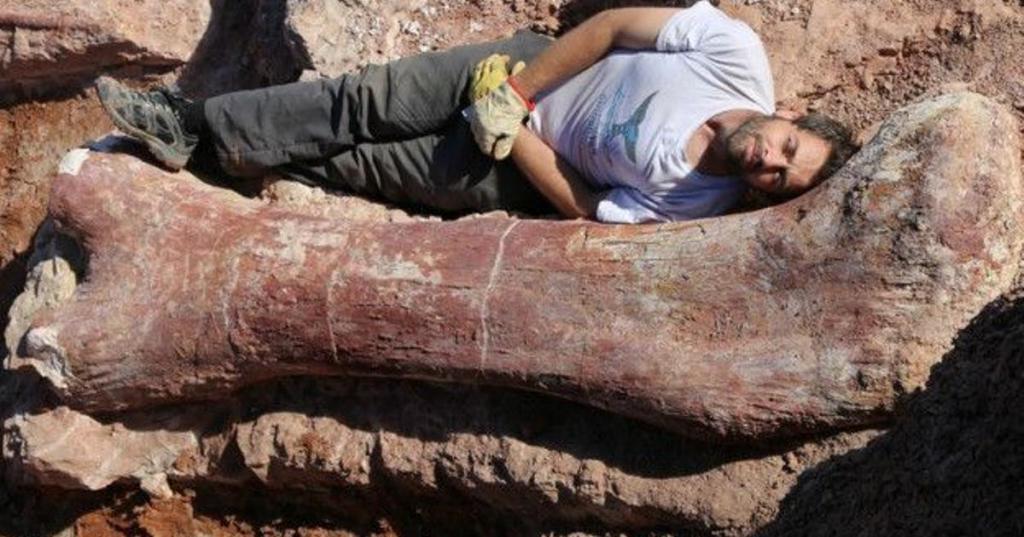 Аргентинские палеонтологи нашли останки, возможно, самого крупного динозавра в истории