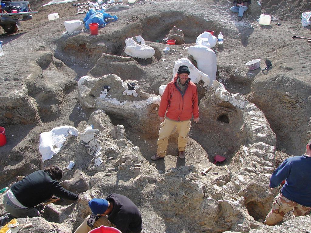 Аргентинские палеонтологи нашли останки, возможно, самого крупного динозавра в истории