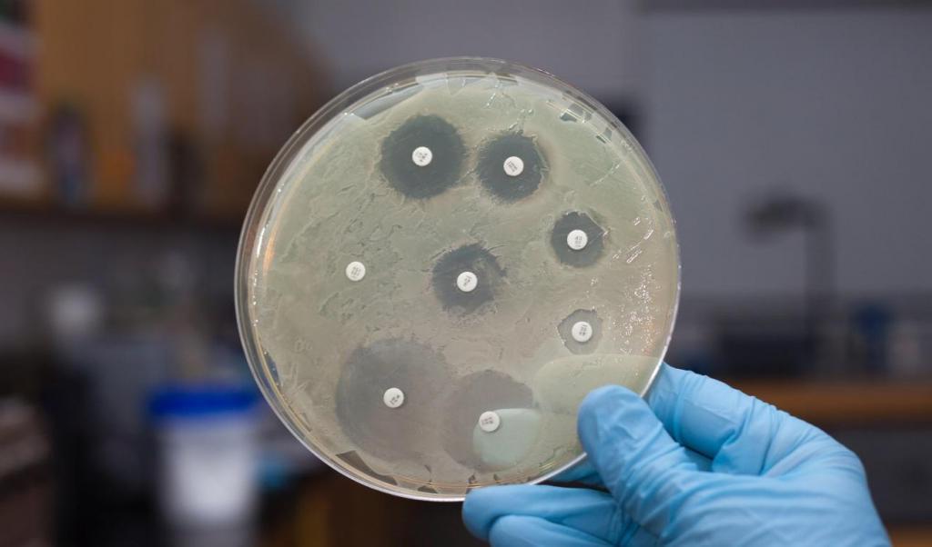 Бактерии развивают устойчивость к антибиотикам быстрее, чем ранее предполагалось