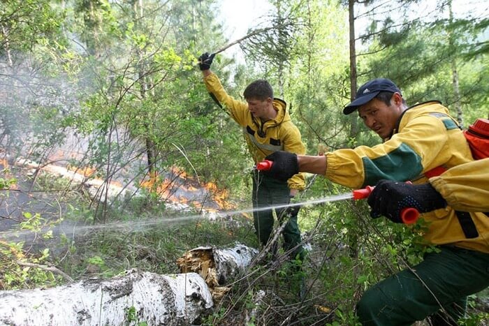 Российские ученые предложили способ своевременного выявления лесных пожаров