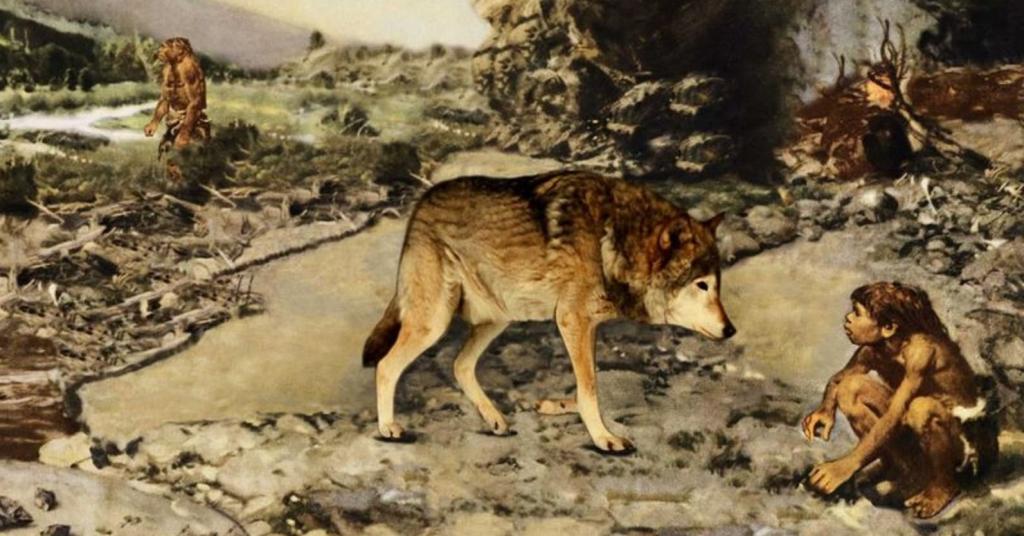 "Милый, давай заведем щенка": древние женщины стали одной из причин одомашнивания собак
