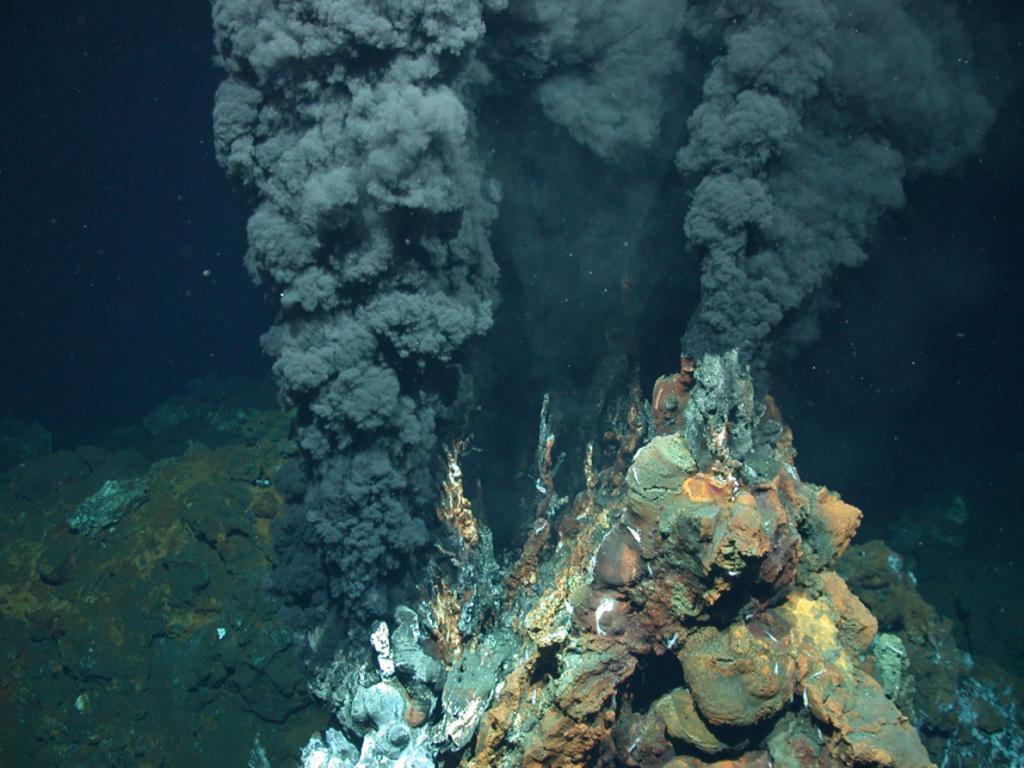 Ученые нашли сотни новых форм жизни рядом с подводным вулканом Бразерс