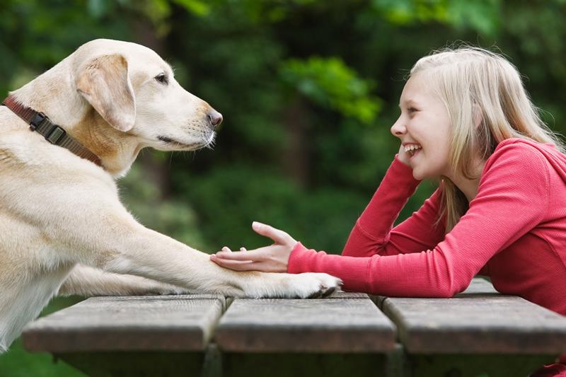 Некоторые собаки могут выучить новые слова, услышав их всего четыре раза, чего достаточно двухлетнему ребенку