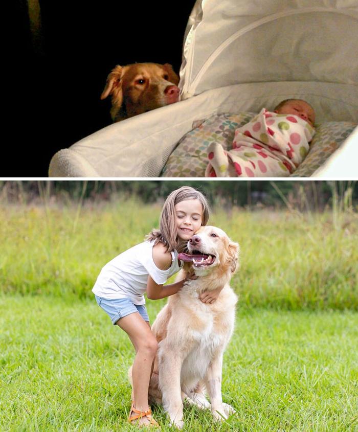 Ребенку нужна собака! Новые фото, которые подтверждают, как мило они умеют дружить