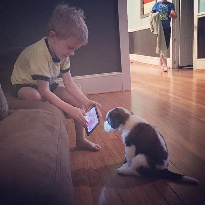 Ребенку нужна собака! Новые фото, которые подтверждают, как мило они умеют дружить