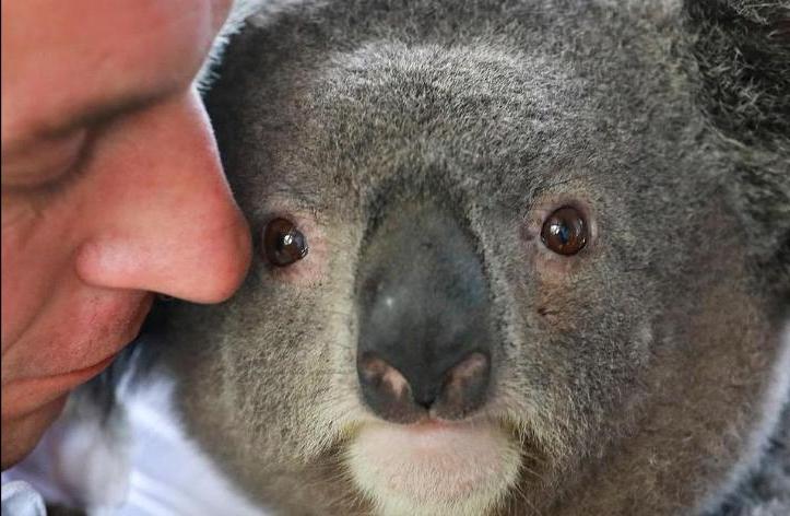 Директор зоопарка в Сиднее публикует в "Инстаграме" фото своих питомцев, и количество подписчиков стремительно растет