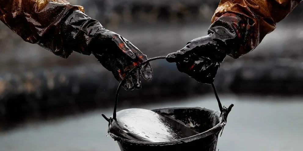 Доказана способность нефти из Западной Сибири заживлять раны