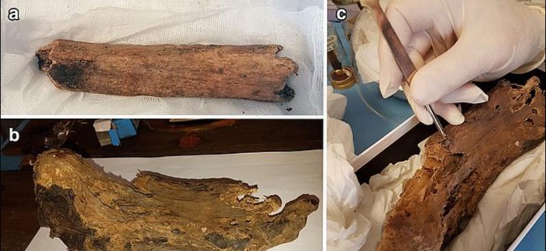 Исследование показывает, что бедренная кость, которая, как считается католической церковью, принадлежала брату Иисуса, на самом деле принадлежит человеку на сотни лет моложе