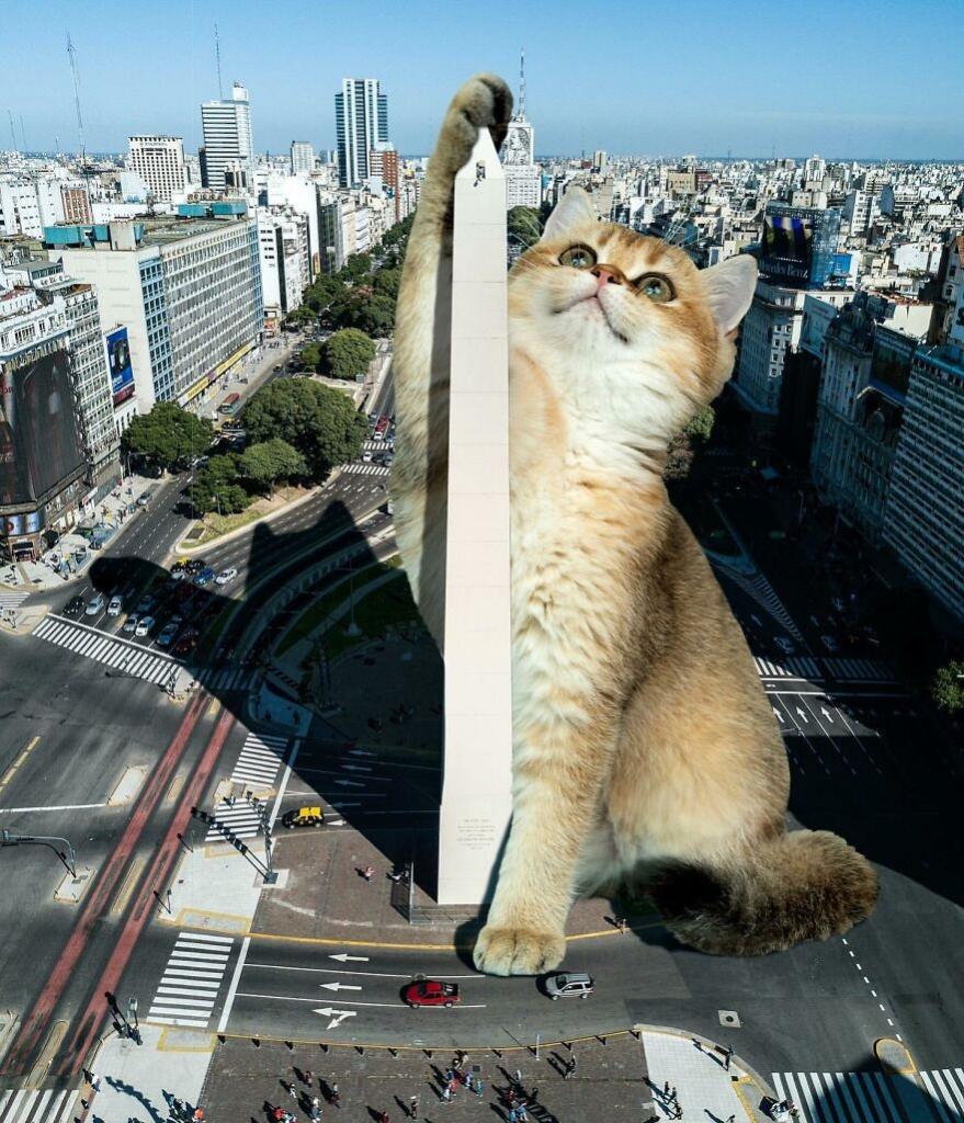 Огромные коты. В Сети популярны сюрреалистичные снимки Мэтта Маккарти