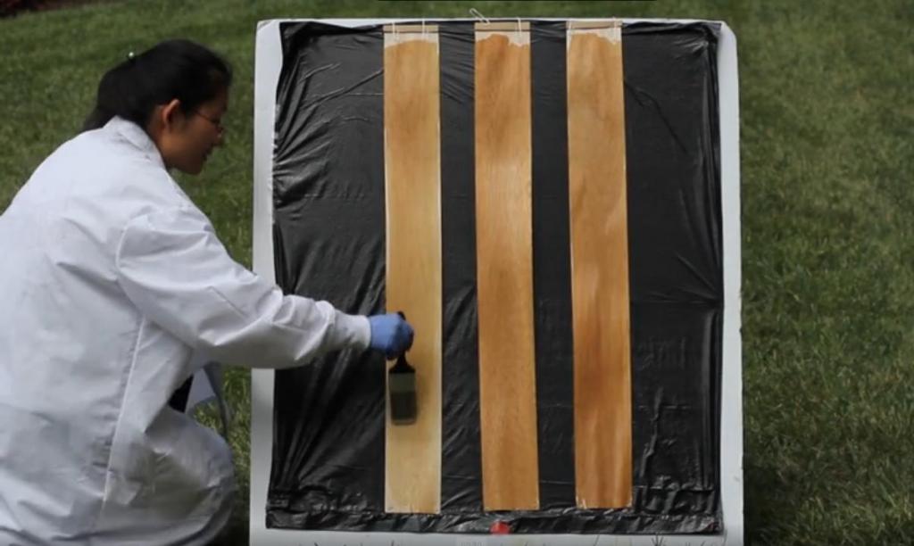 Ученые из США создали прозрачную древесину для производства окон и строительства зданий