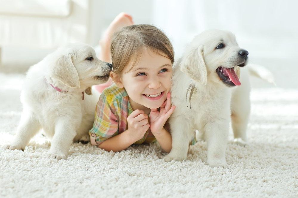 Пушистая радость: как превратить домашнего животного в "психолога" для ребенка