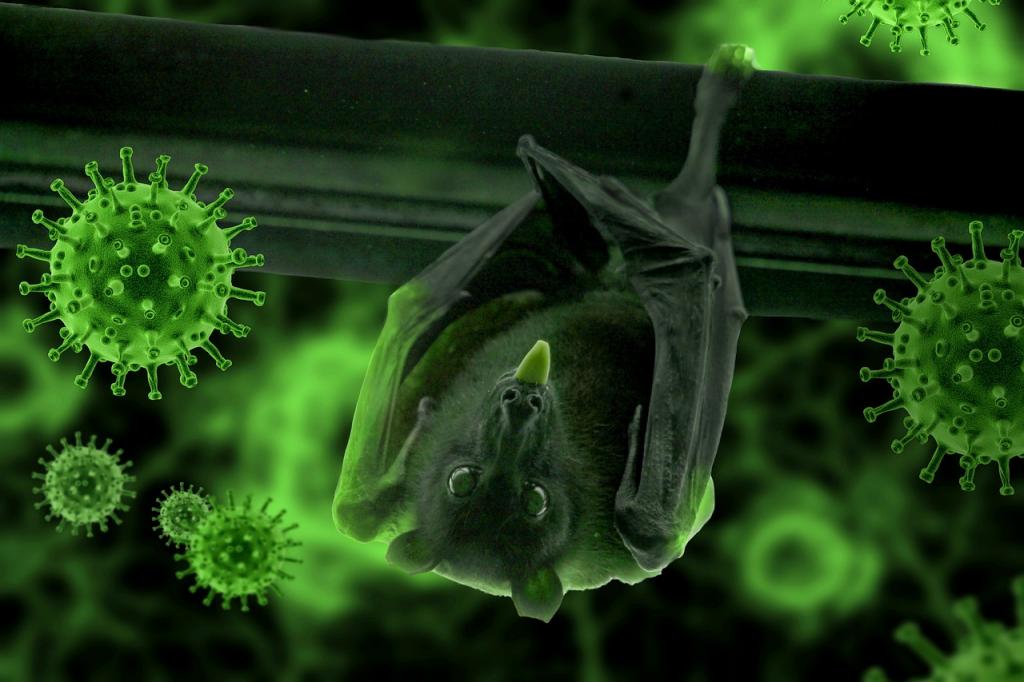 Биологи из США и Европы связали появление коронавируса с ростом видового разнообразия летучих мышей
