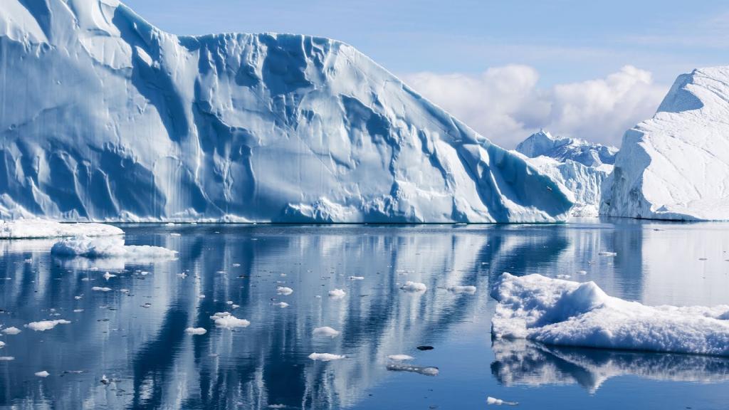 Нечто застывшее во льдах: в Арктике обнаружено существо с плоской головой, видовая принадлежность которого пока не ясна