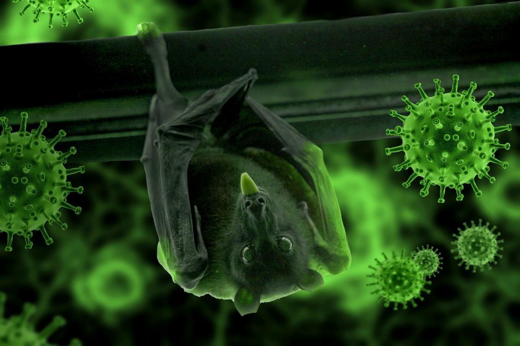 У летучих мышей в Азии обнаружили новый коронавирус