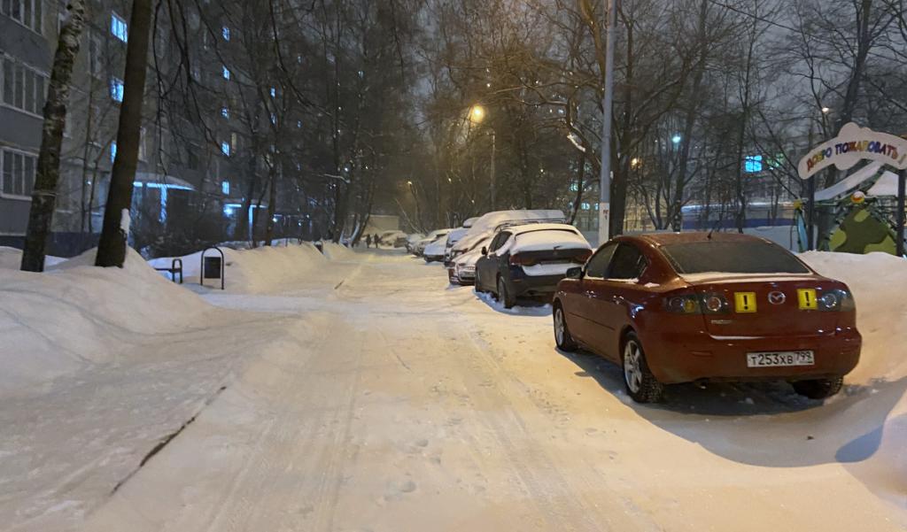 Занесенная снегом Москва побила суточный рекорд осадков 1973 года
