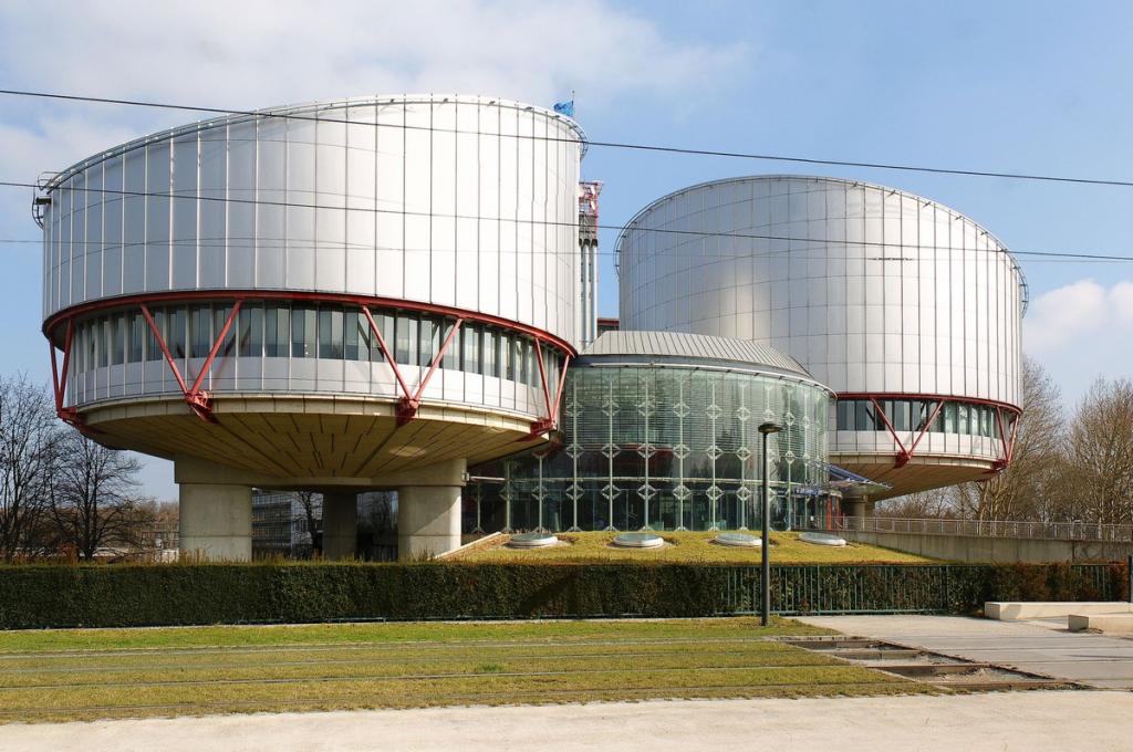 В Европейский суд по правам человека отправили первую жалобу из России на приговор за фейки о COVID-19