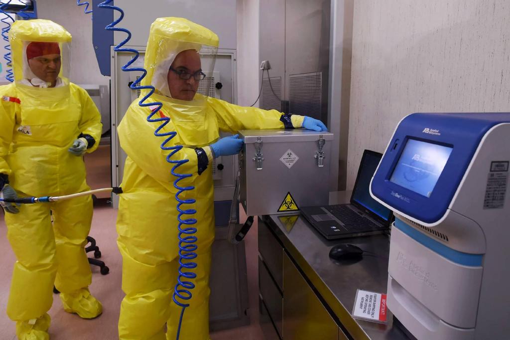 Власти Гвинеи официально объявили о начале эпидемии Эболы на юго-западе страны